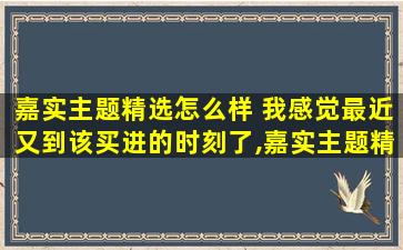 嘉实主题精选怎么样 我感觉最近又到该买进的时刻了,嘉实主题精选这只怎么样